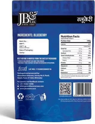 DriedBlueberries