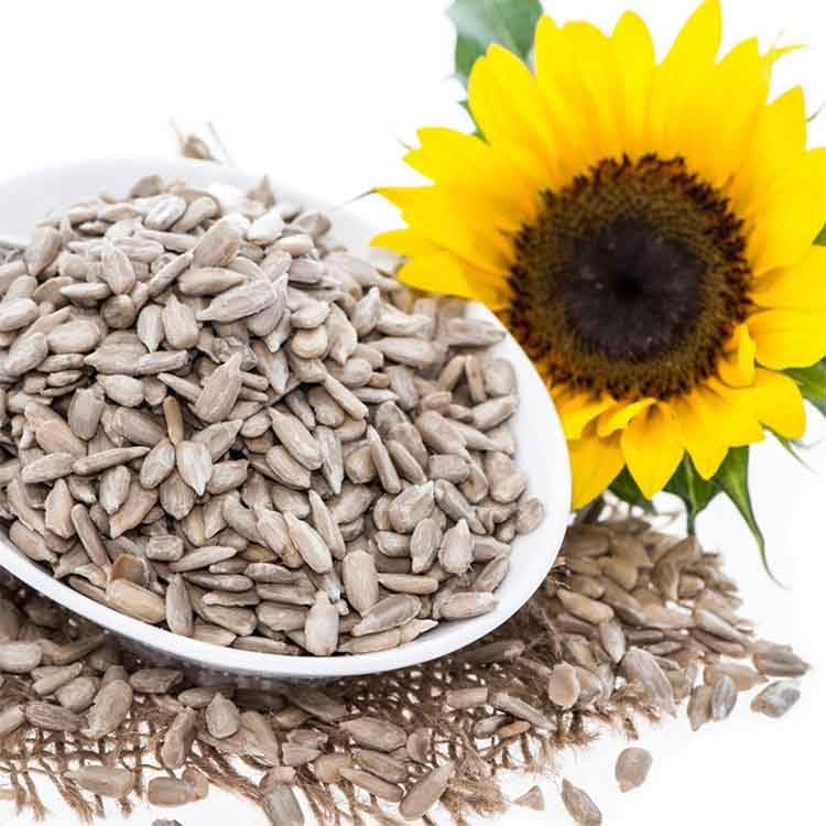JB&CO Organic Sunflower Seeds kernals (200g X 2)
